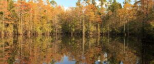 juniper-lake-10-12