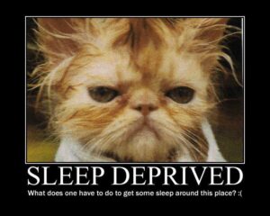 funny-sleep-21