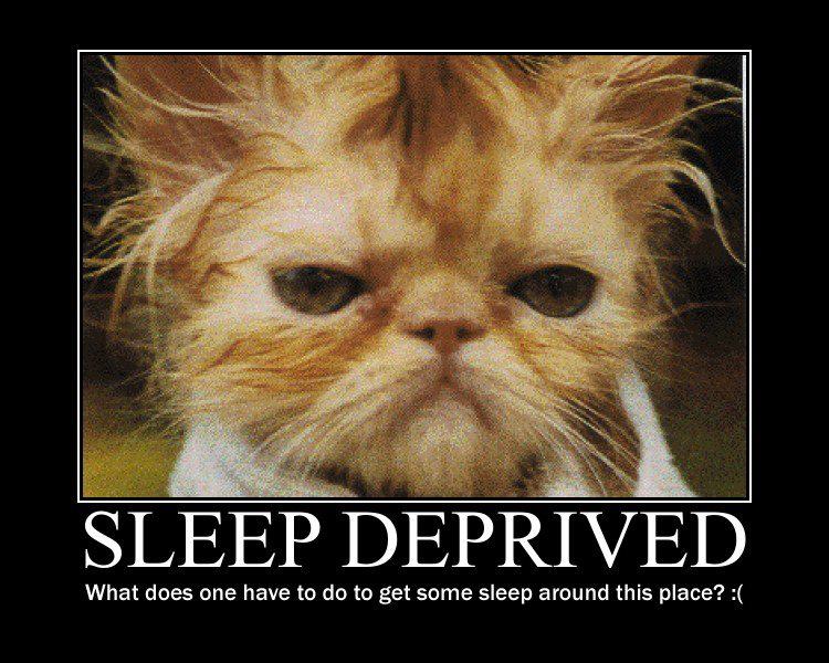 How to Get a Good's Night Sleep - The GreatFlorida Insurance Blog How to Get a Good's Night Sleep - The GreatFlorida Insurance Blog