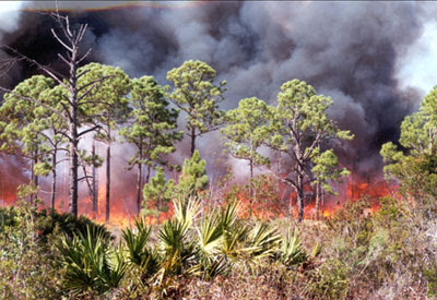 Drought conditions spark wildfire warning