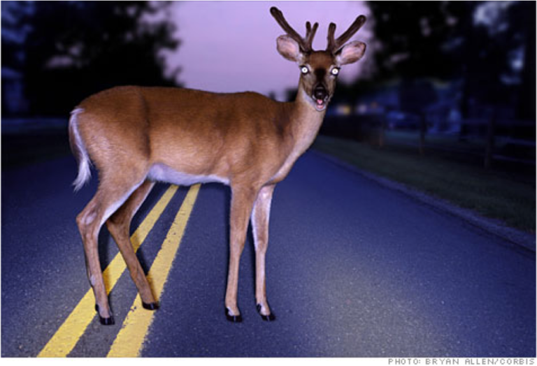 To Swerve or Not to Swerve