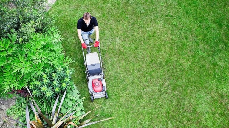 Preparing for Dry Season