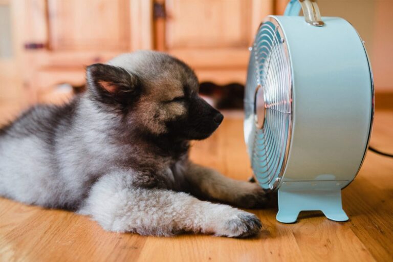 Cutting AC Costs While Keeping Cool