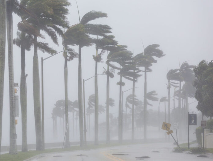 irma-flager
